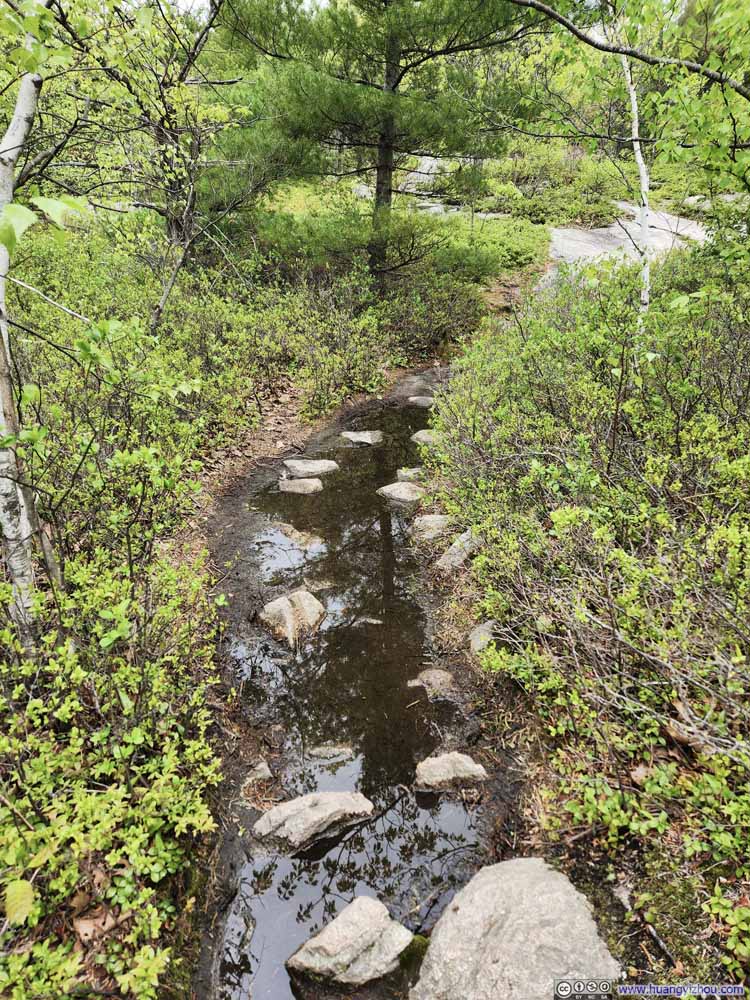 Wet Trail