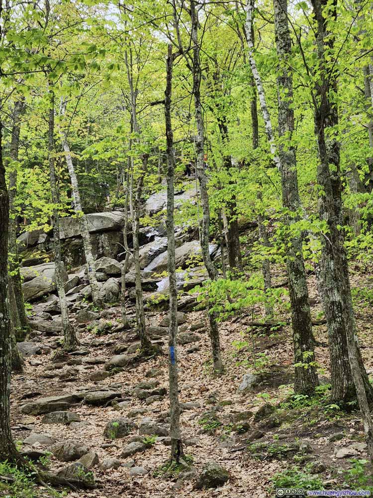 Trail on Rocks