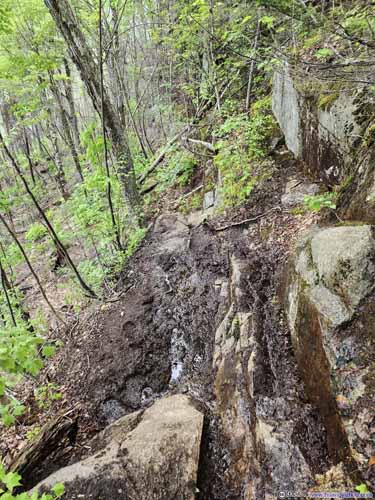Steep and Muddy Trail
