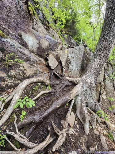 Steep and Muddy Trail