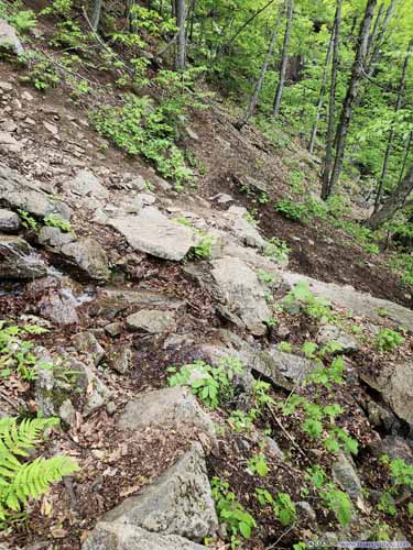 Steep Trail