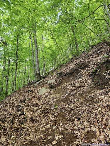 Steep Trail