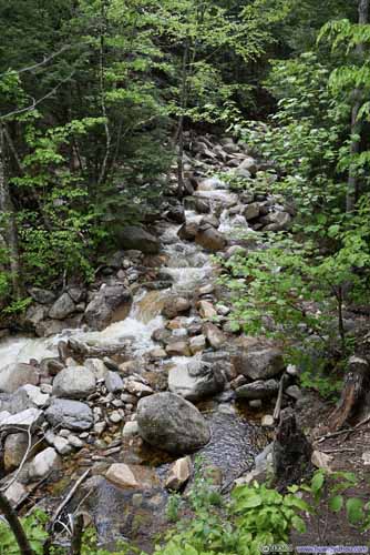 Bemis Brook