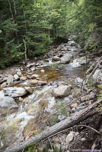 Bemis Brook