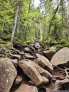 Steep Trail
