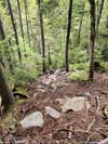 Steep Trail