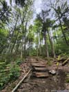 Trail