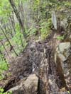 Steep and Muddy Trail