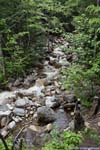 Bemis Brook