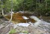 Fawn Pool