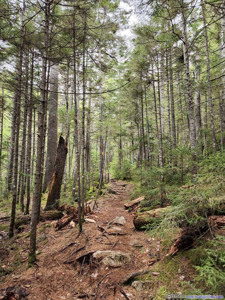 Trail
