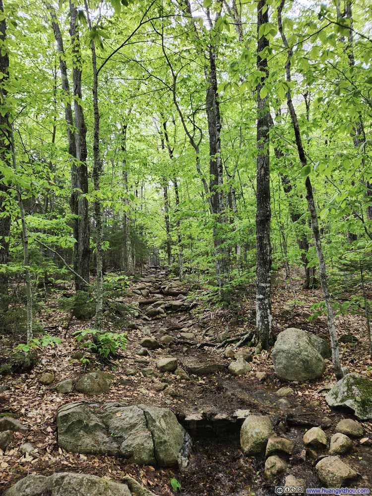 Trail