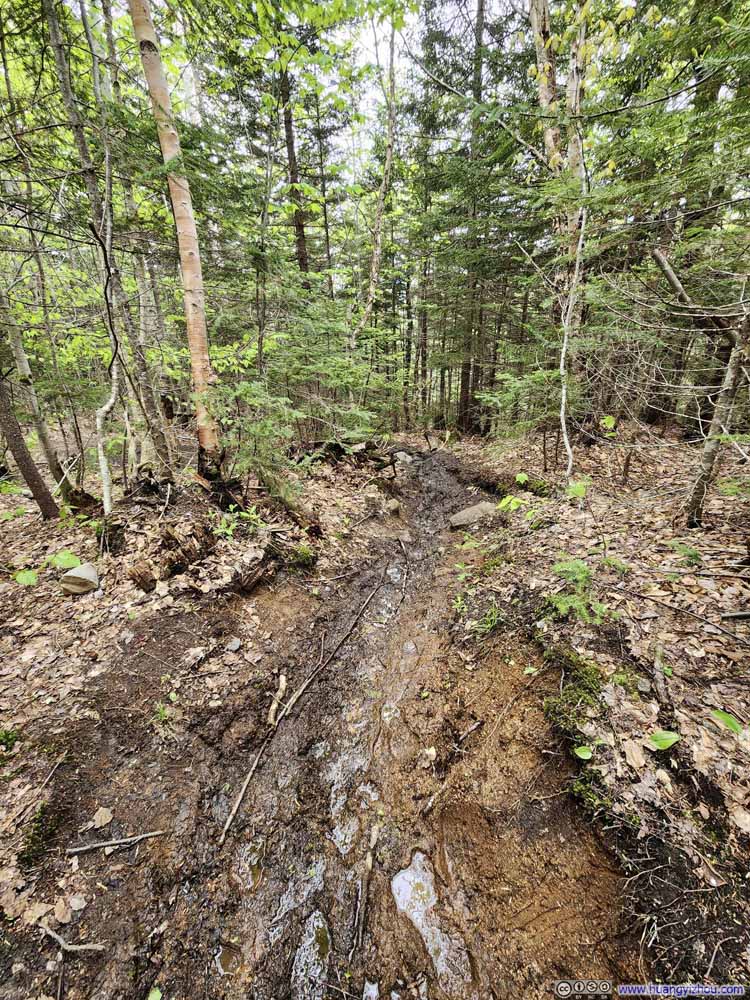 Muddy Trail