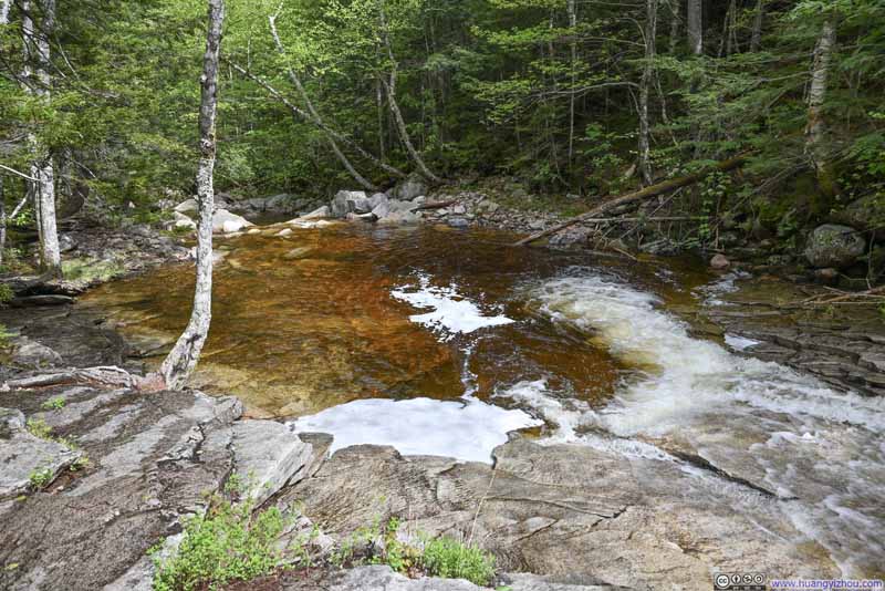 Fawn Pool