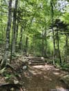 Trail