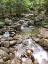 Walker Brook