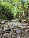 Dry Brook