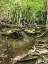 Steep Trail
