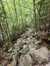 Trail