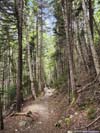 Trail