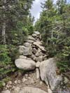 Trail
