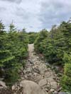 Trail
