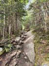Trail