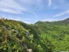 Ridge