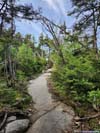 Trail
