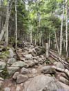 Trail