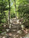 Improved Trail