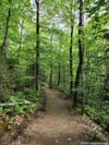 Trail