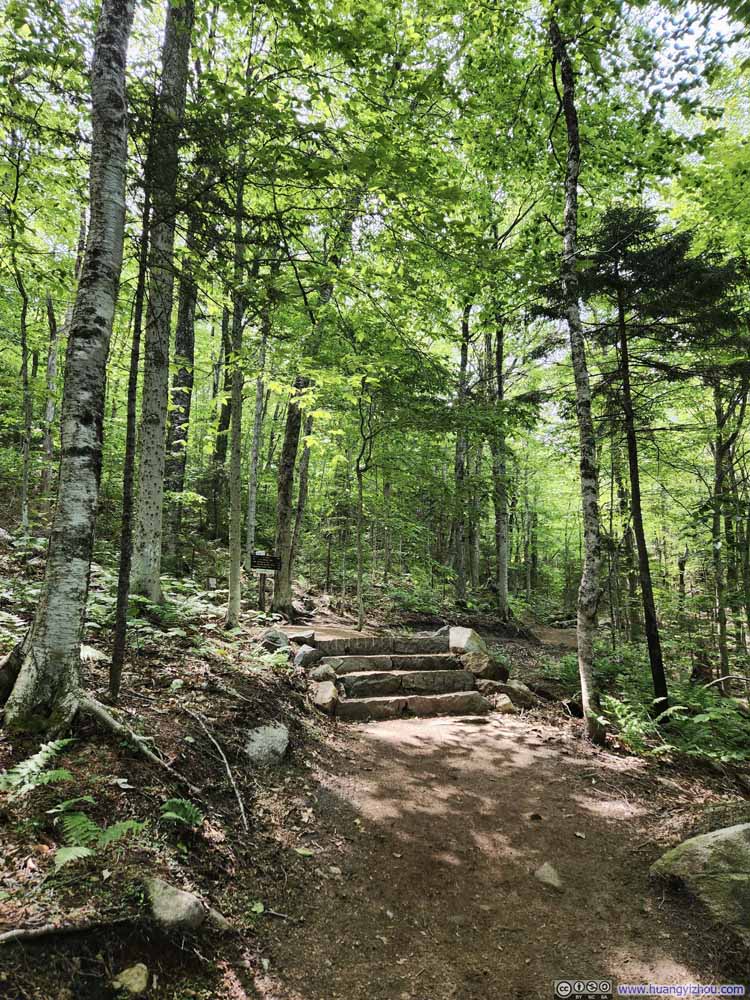 Trail