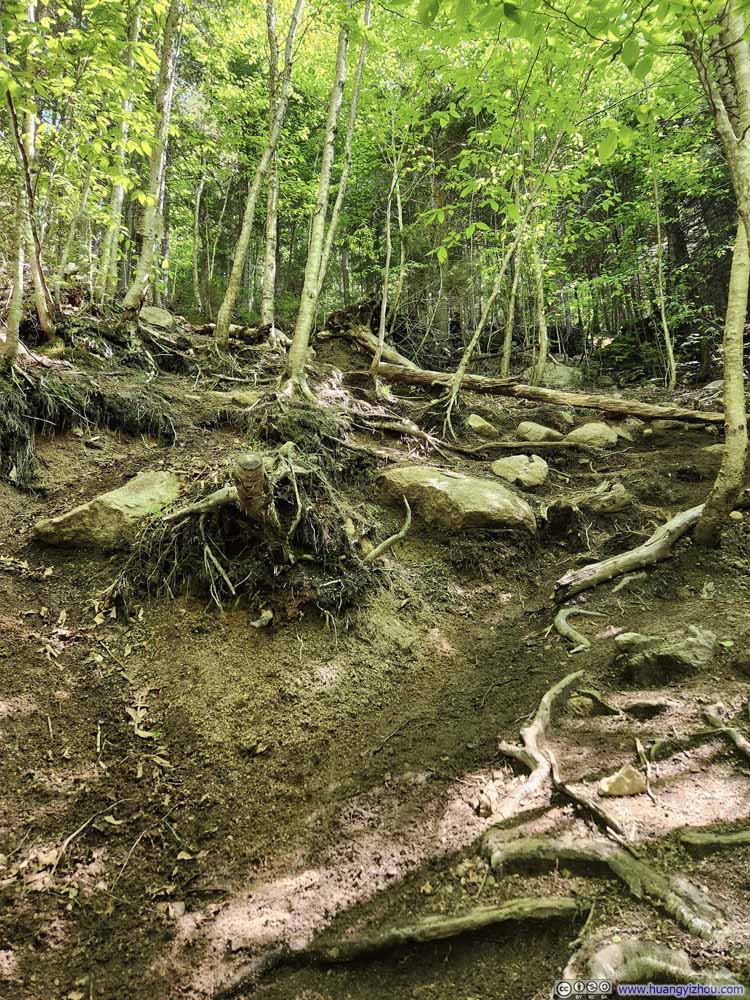 Steep Trail
