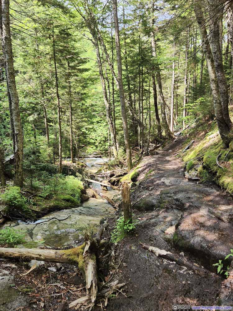 Trail along Dry Brook