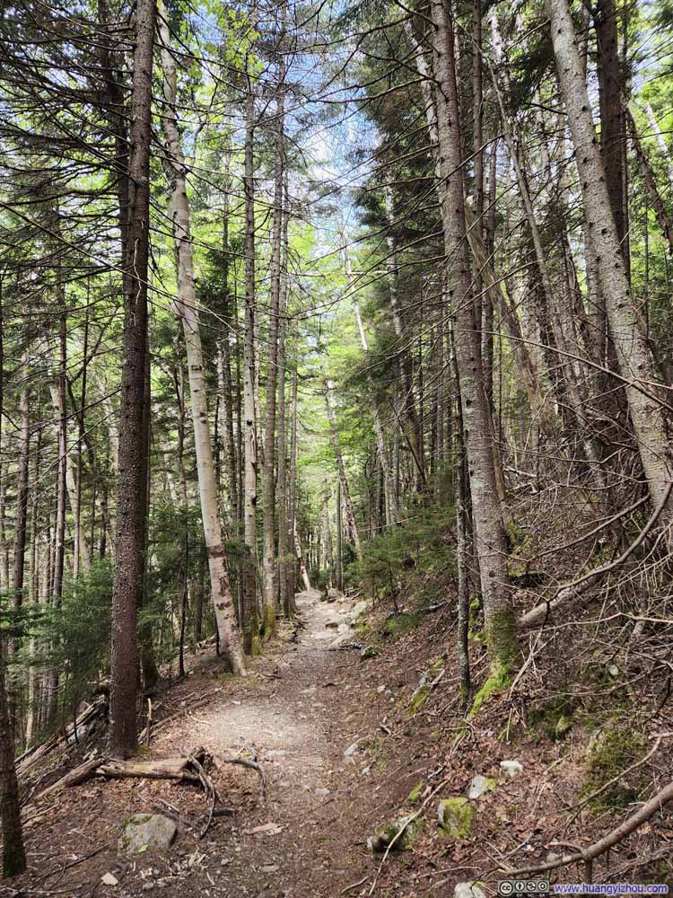 Trail