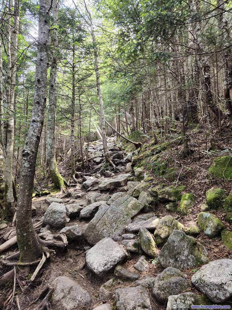 Trail