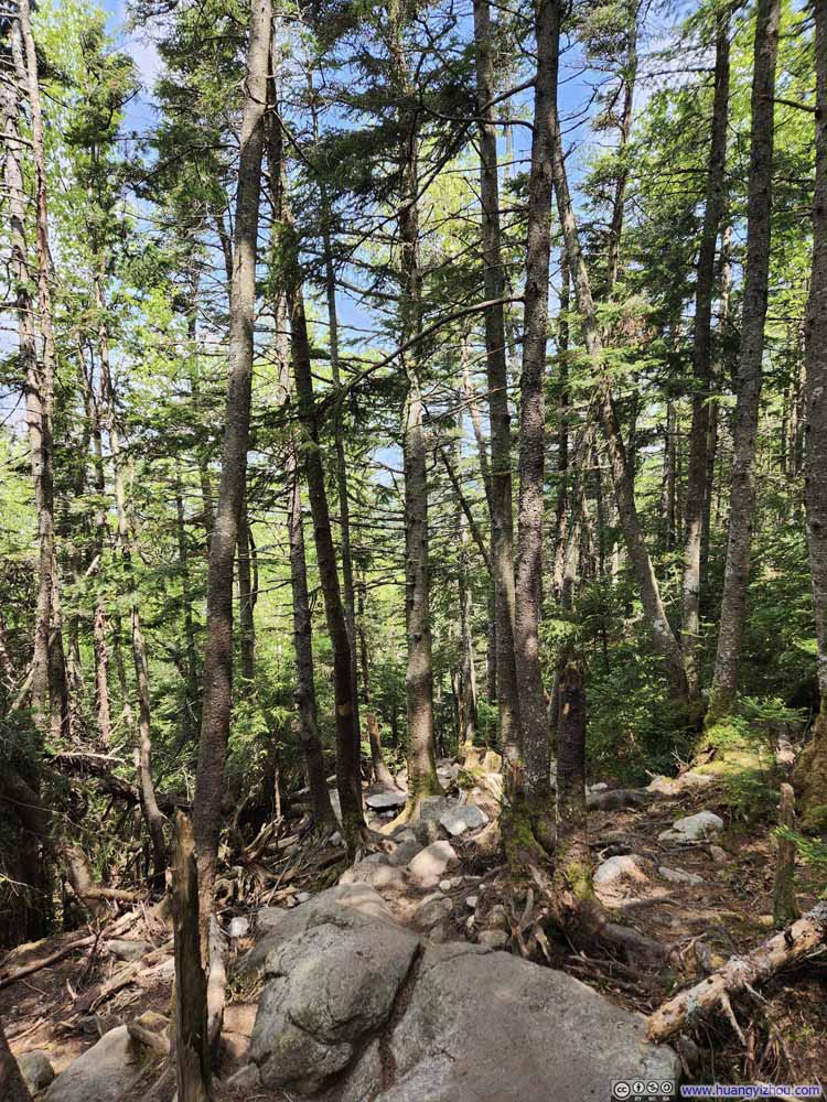 Trail