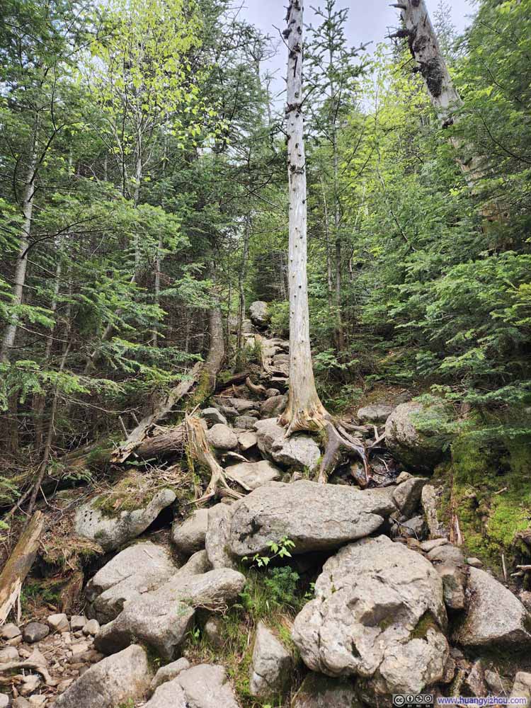Steep Trail to Shining Rock