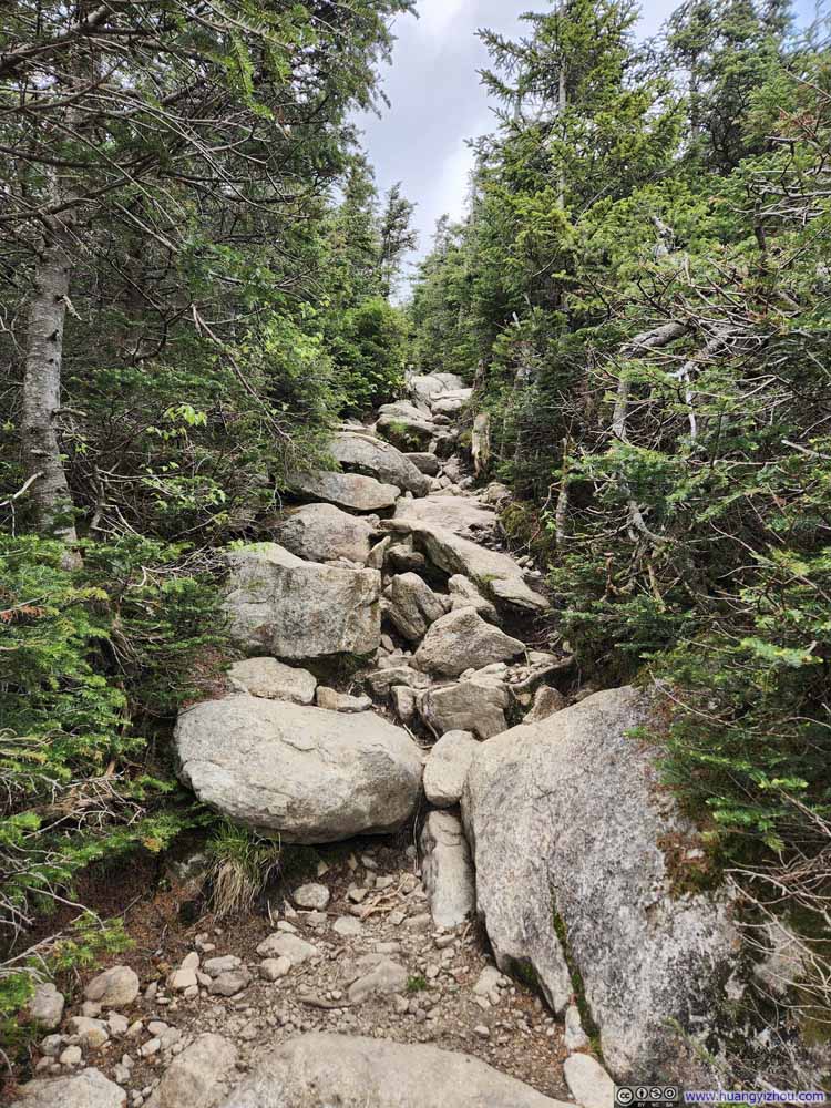 Trail