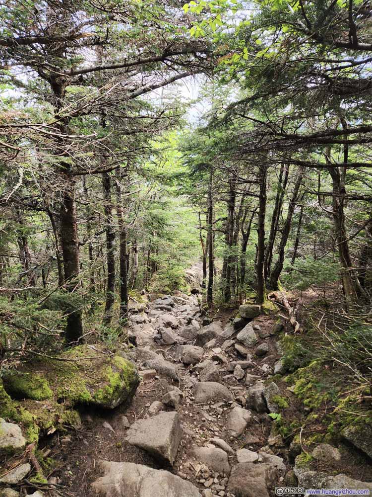 Trail