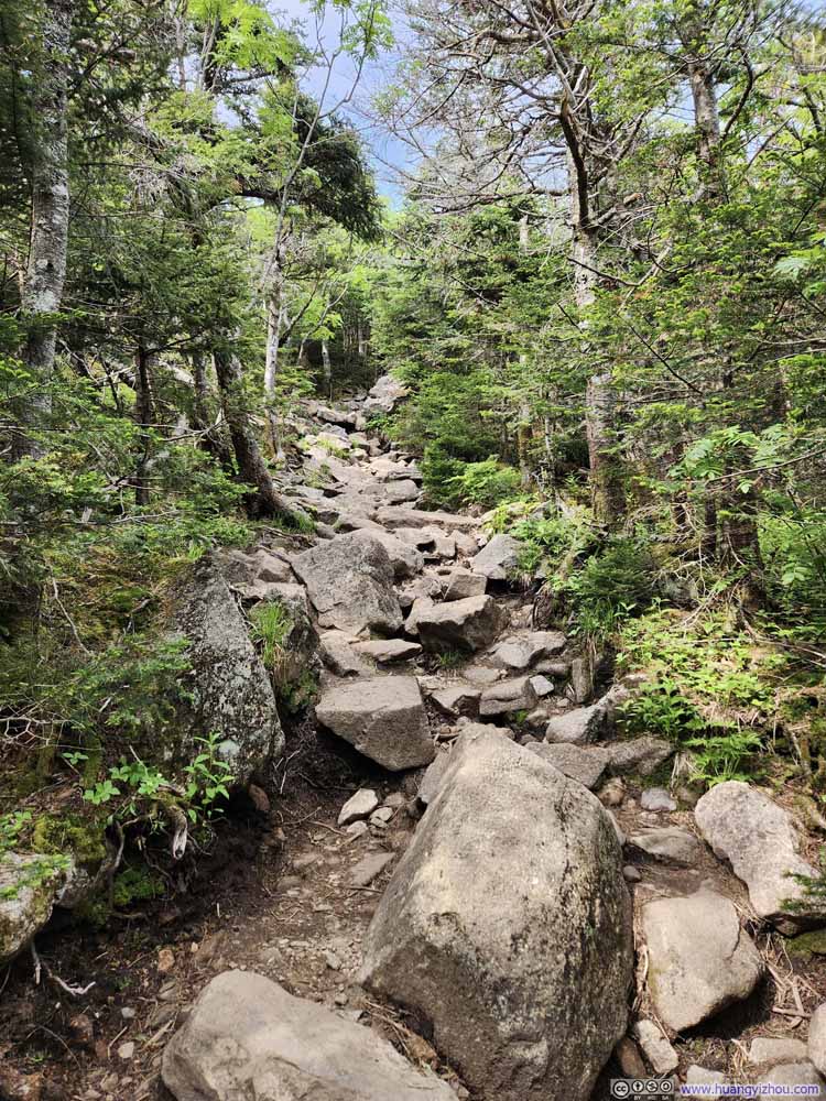 Trail