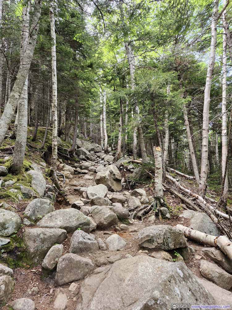 Trail