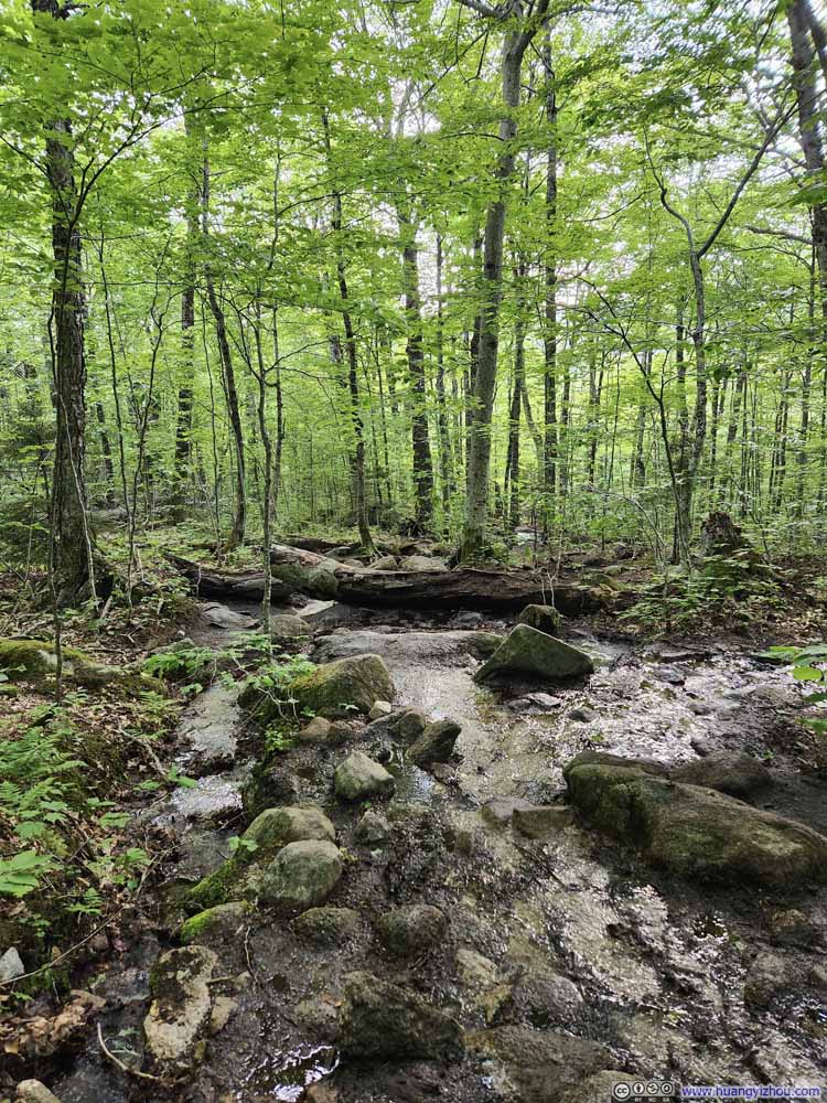 Muddy Trail