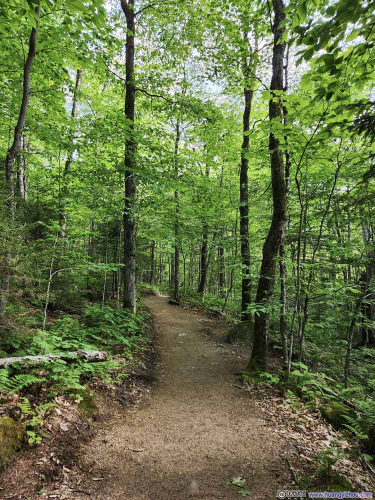 Trail