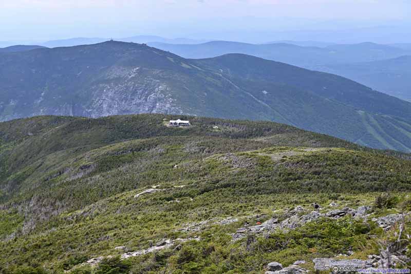 Greenleaf Hut among Forest