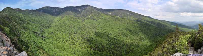 Franconia Ridge from Old Bridle Path