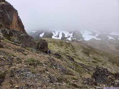 Trail to Ptarmigan Pass