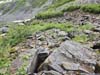 Boulders along Path to Byron Glacier