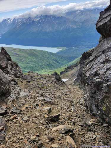 Looking Down through Gully